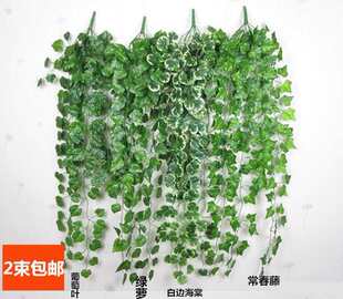 ���滨�ٻ��׺�����ɽ���G�}ֲ�����������~�����w�b�