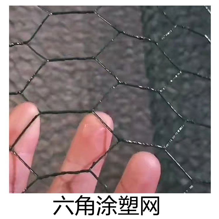六角涂塑网