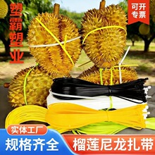 �S�����l��ɏ�������i����5*650 ���L�Ӻ�ӌ������h������������