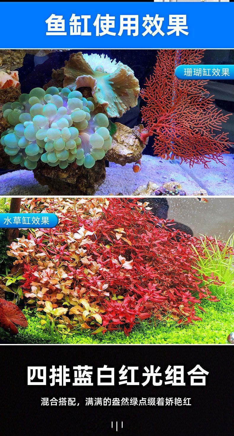 166a3546-e809-4238-ab78-a5c026d2c5e0.jpe