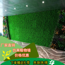 ֲϼٲƺ̨҃̈T^ڒGֲˇ