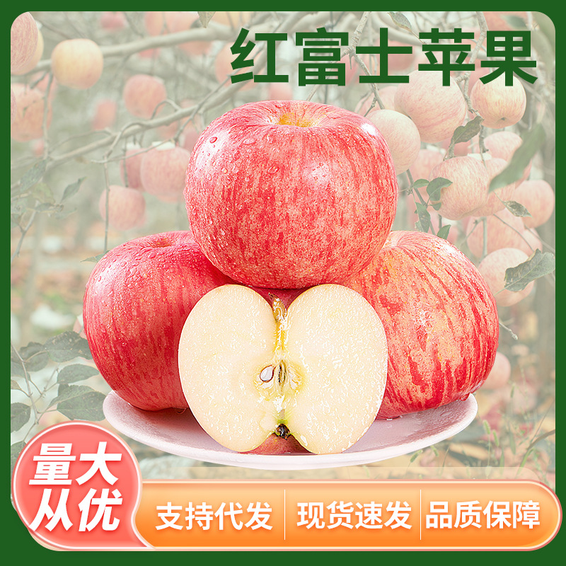 【全年供应】烟台红富士苹果新鲜水果当季整箱冰糖心苹果一件代发