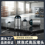 QD10型号 多款式球涨式高压堵头 液压泵球头膨胀式密封堵密封球堵