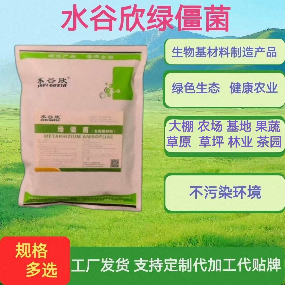 水谷欣球孢白僵菌 卵孢白僵菌 桉树茶业基地通用粉剂大棚果蔬