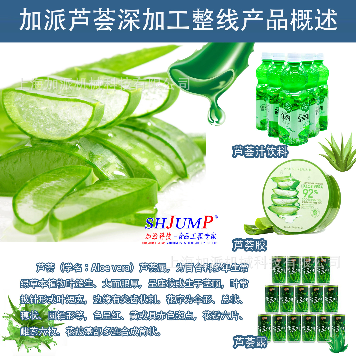 蘆薈加工生產線1