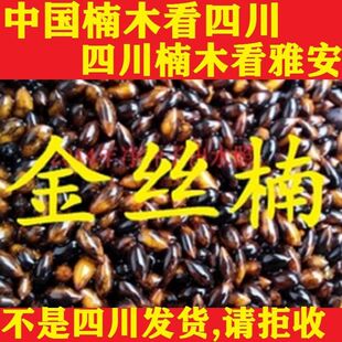���ڽ�z�ľ�N��С�~�E� ���~����²��՘�N�Ĵ��ľ�a��ֱ��