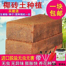 ���������àI�B���w���m����͸���ЙCҬ�؉|Ҭ�uҬ������Ҭ��Ҭ��