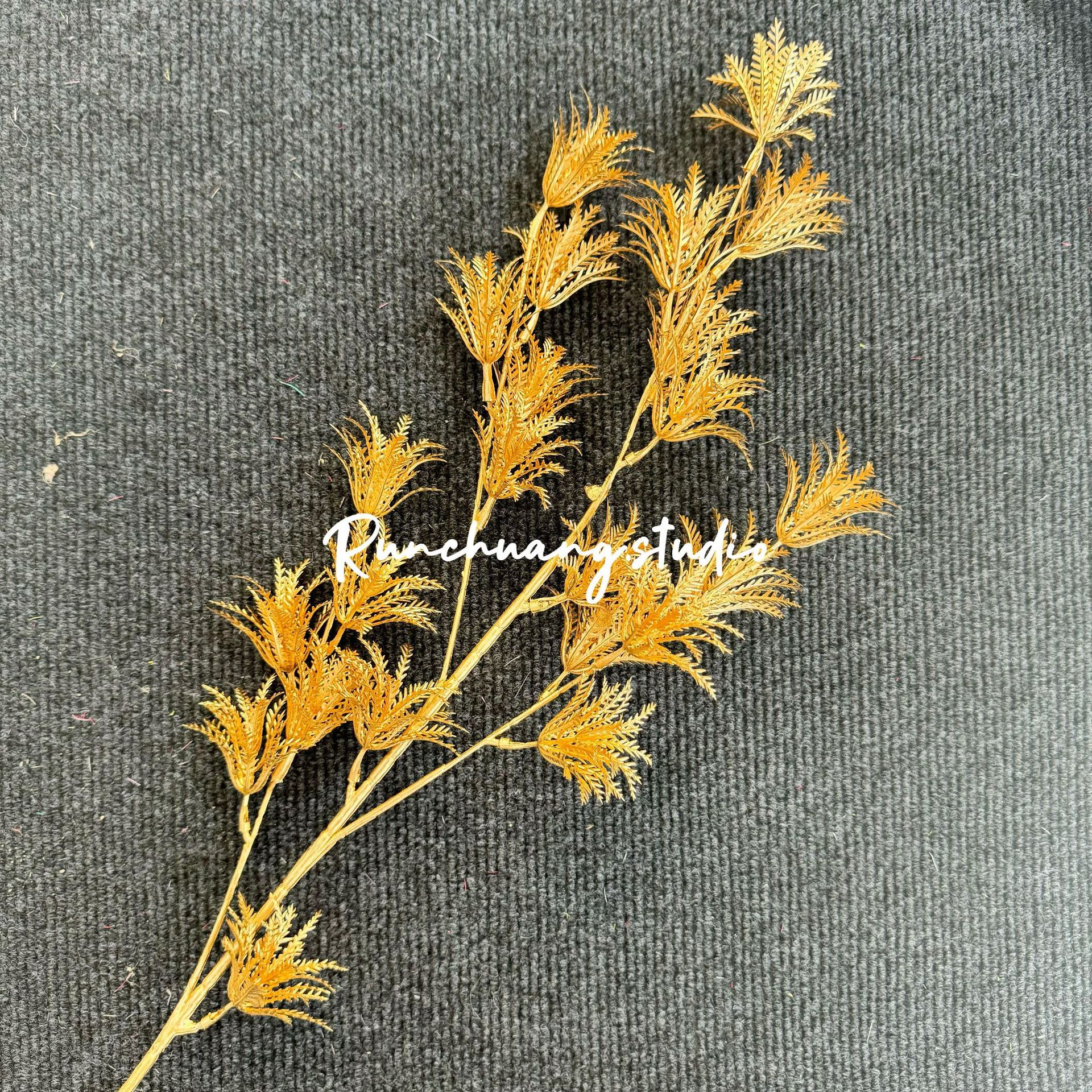 큰 연인 과일
