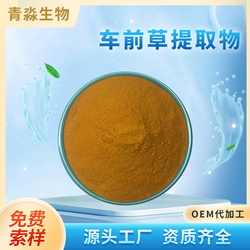 车前草提取物 30:1 车前子皂甙车前草多糖车前草粉末 车前草原料