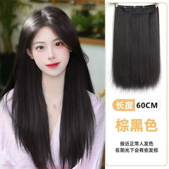 女性用ウィッグ、ワンピース5枚のストレートヘアエクステンション、目に見えない痕跡のない模造フルリアルヘア、ふわふわ、ファッショナブルでナチュラルなウィッグ