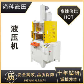 广东厂家标准液压机 生产高效油压压力机定制伺服液压机节能