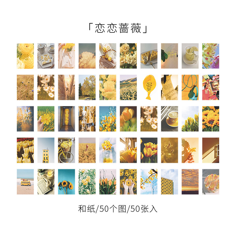 Hermoso día pegatina libro jardín estrella serie ins fresco diario DIY material decorativo pegatina Libro 8