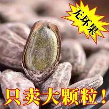 新货2024吊瓜子非安徽产瓜籽瓜蒌子现奶油味吊炒袋椒盐味大颗粒