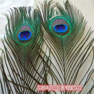 ��Ȼ���ȸ��ë �Ʒ�ҾӔ[�O�͏d��ƿ�b�DIY ��ȸ��ë��β