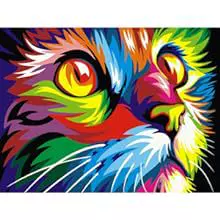 【无框数字油画】填色涂色定制diy急采跟JIT全托可24小时内发货