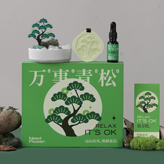 Aromatherapy Crystal Stone Diffuser Oil Gift Box with "All Things Pine" Scent, Home Use, Reusable Fireless Aromatherapy Diffuser, High-End Home Decor