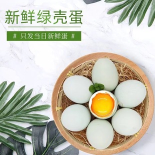 ���r�G���u�����������ް��b���l���]���u���r��ɢ�B������