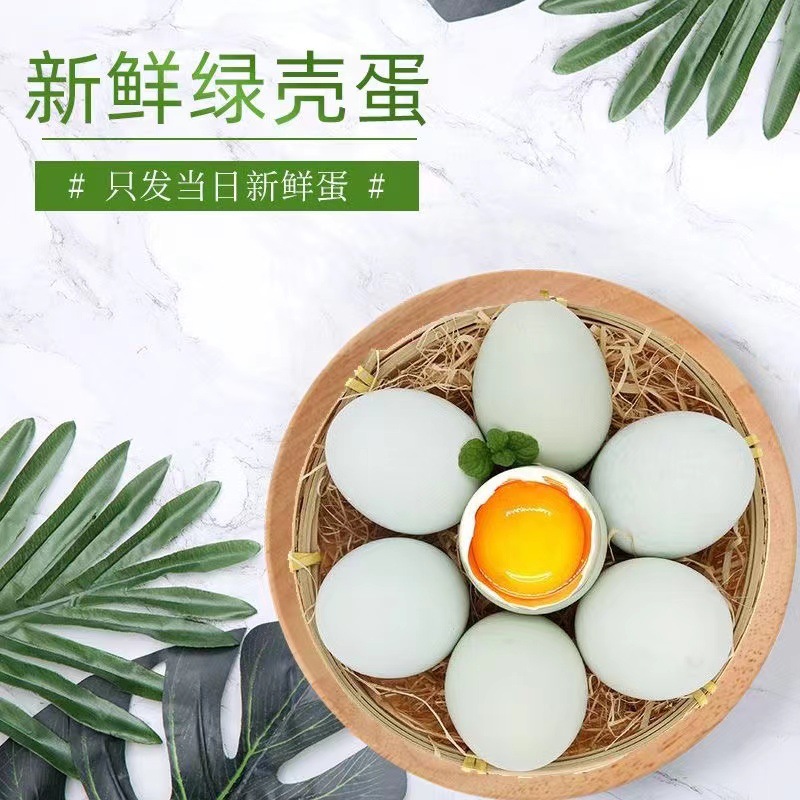 新鲜绿壳鸡蛋稻壳珍珠棉包装代发包邮土鸡蛋农家散养整箱批