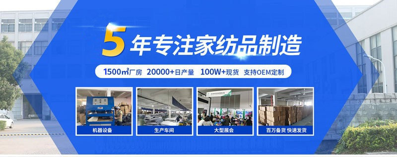 公司历程_副本
