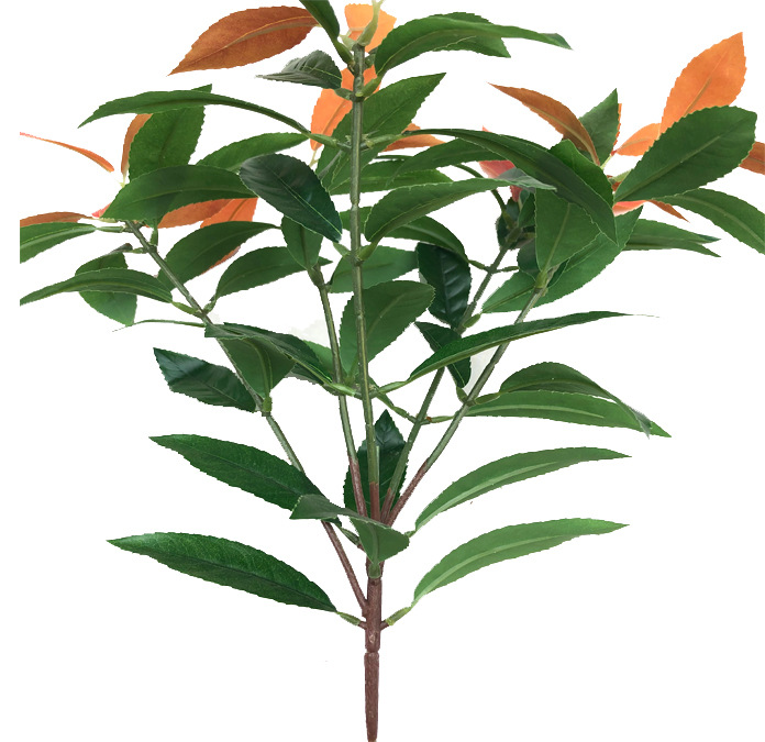 XRB-212 新桂花 60叶 (5).jpg