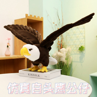 �羳������������517���^��������ë�q�����ż�ҿ͏dɳ�l�[��