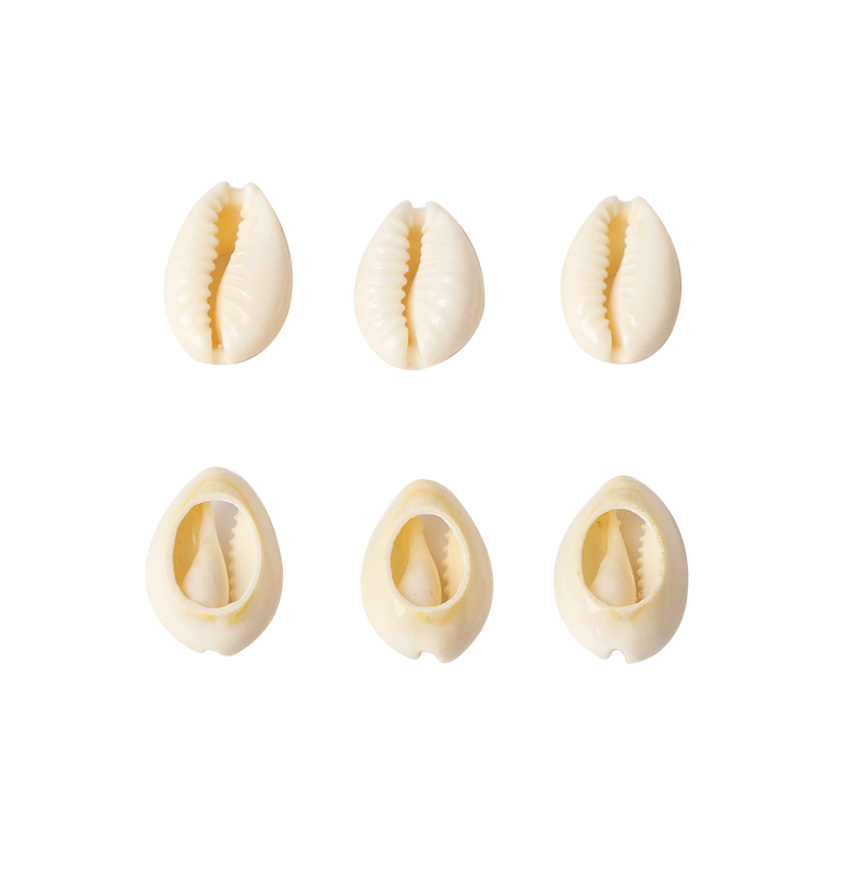 Shell Material 1 Piece Shell Solid Color DIY Jewelry Accessories Beads