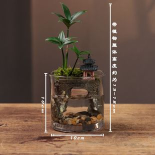 ������﹝����΢���^�k��������΢���^�B�~�[���ܶ�̦�\