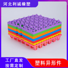 塑料鸡蛋托 彩色塑料鸡蛋托盘 30枚可折叠蛋托 周转鸡蛋托盘厂家