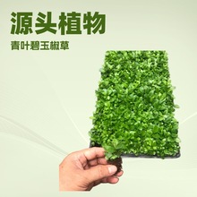 �҃��^�~�Gֲ����G���~���񽷲�΢���^������������ˮ���ļ����G