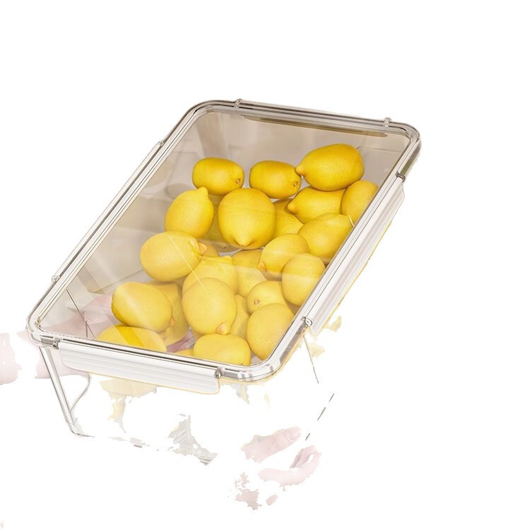 Xingyou 鮮度保持冷蔵庫家庭用長方形の厚みのある密封されたプラスチック密封された鮮度保持ボックス野菜と果物の保存ボックス|undefined