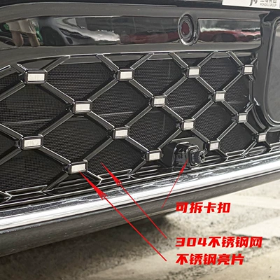 Automobile anti-insect net – catkins