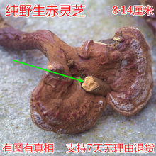 rܼҰ`֥ Ұ֦֥`֥t`֥Ƭĥ2]