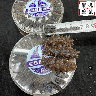 ���_˹�����˼����ɴ̅��t�O�����aƷ�|���P�|��ȫҎ���������l