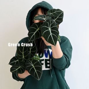 �����Z�������Z�q����G���Z�����҃����ԾGֲ�ﱱ�W���s���B�͕�