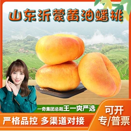 代用/养生茶;西式糕点;瓜果类