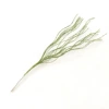 Light green (without fruit)