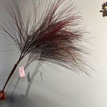 ����L������JȔ��c��Y�û����潁�����JȔ���b���̨ӭ�e�b�