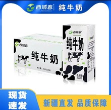 新疆西域春纯牛奶20盒整箱学生成人盒装早餐营养纯牛奶