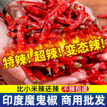 印度魔鬼椒500g商用干辣椒海椒段朝天椒小米辣批发特辣超辣变态辣