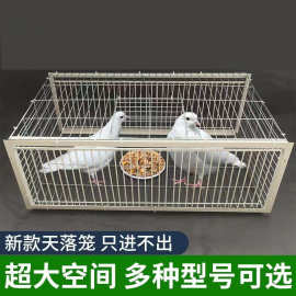 鸽子笼只进不出自动收鸽子神器天落笼加密收鸽笼活络门撞门笼户外