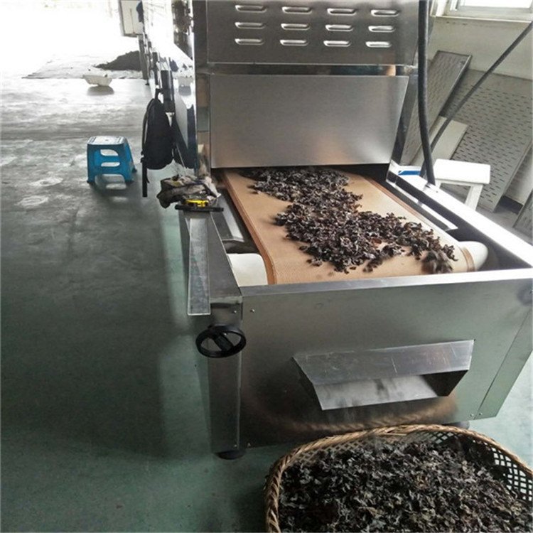 木耳微波杀菌设备  鑫弘大枣微波杀菌杀虫卵设备 隧道式杀虫卵机