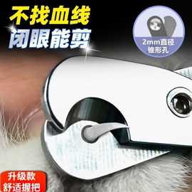 小盲剪猫咪用品大全狗狗生活用品全套新手宠物防剪血线防出血