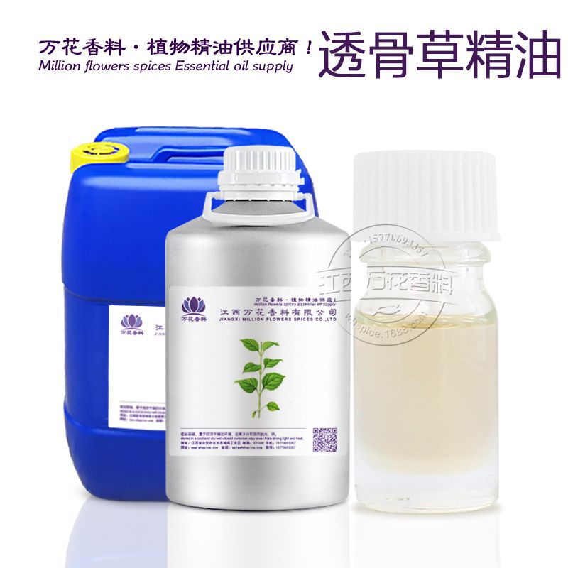 万花供应透骨草精油 蒸馏透骨草  草本植物精油批发欢迎采购