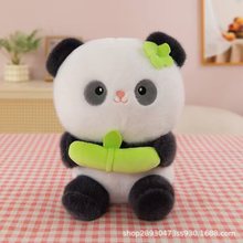 8��24���׾�Ʒ���е��ƻ�Y����������ż�д�̖ë�q��ߏS�����l