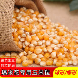 球形爆米花玉米粒 商用 爆米花原料新货 炸爆米花的玉米