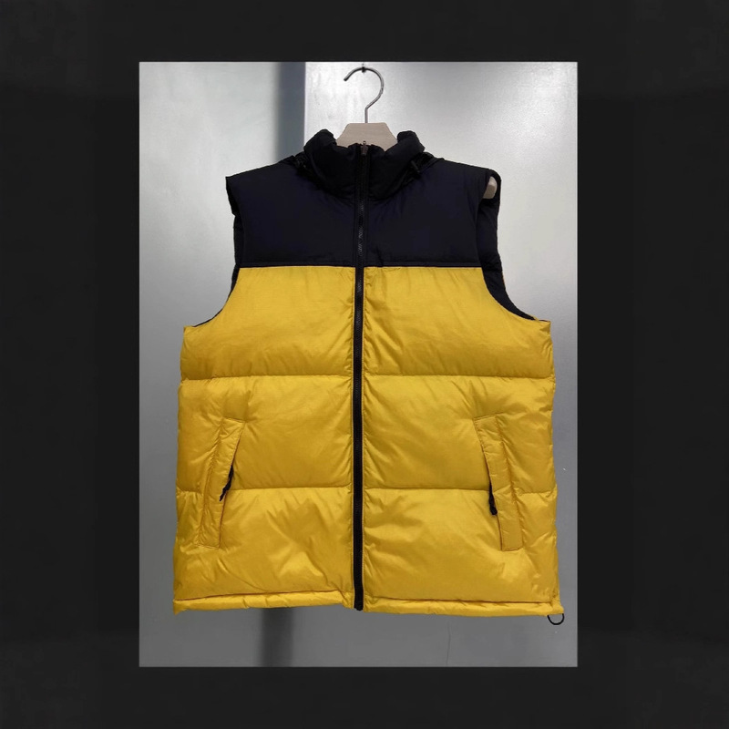 American Version of 1996 down Vest 700 Fluffy Tnf Windproof, Waterproof and Warm Autumn and Winter Outdoor Jacket for Men and Women