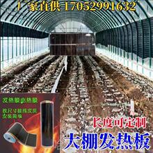 增温蔬菜大棚花卉鹏加热器发热板种植取暖电热膜升温保暖羊肚菌