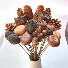 �ɹ�����������U�廨�U���b[�O���W�L�ɻ����͹ź��s�Ĕz����