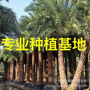 �㽭���U�y�����r�� �����Ж|�������l ���K�y��������