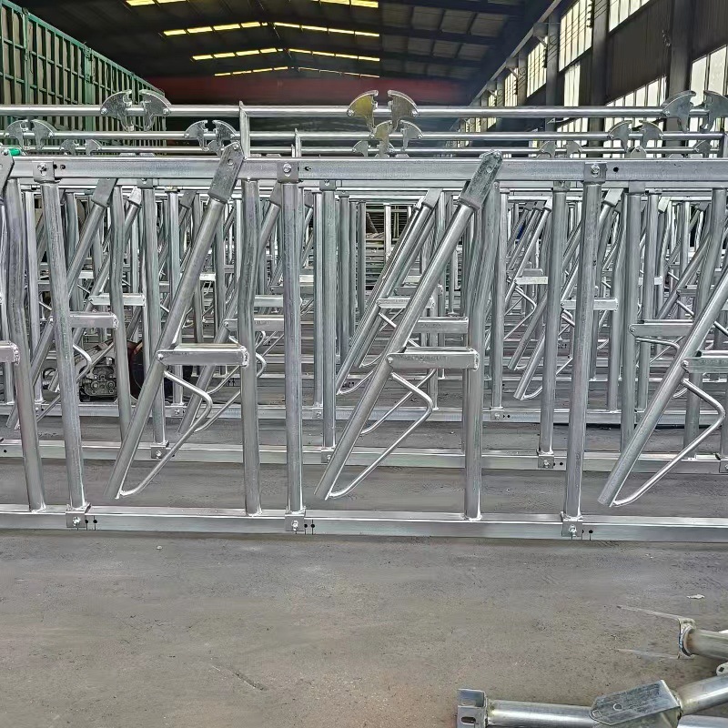 微信图片_20231225104824